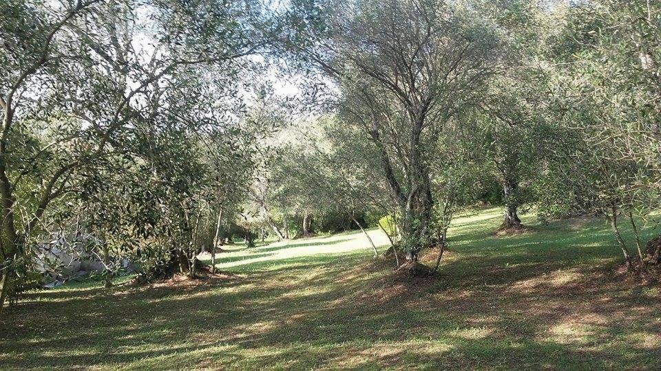 Karamali Green Danilia Villas Гоувия Экстерьер фото